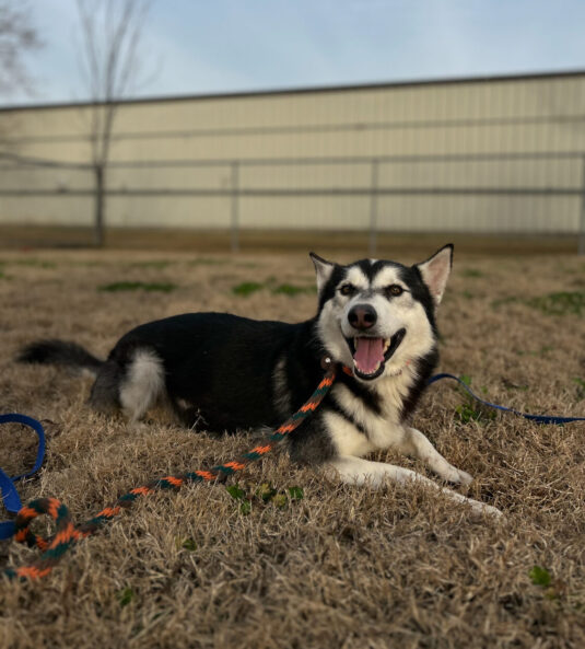 Photo Mar 05 2024, 11 10 42 AM (1)