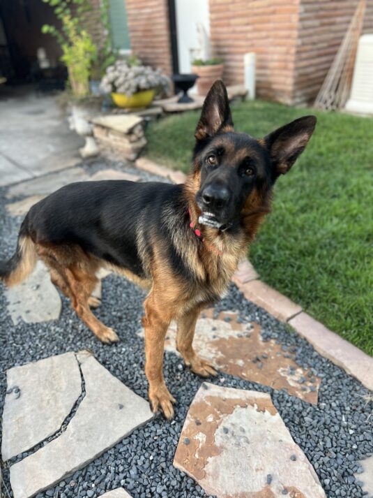 Photo Jul 15 2025, 8 14 39 PM