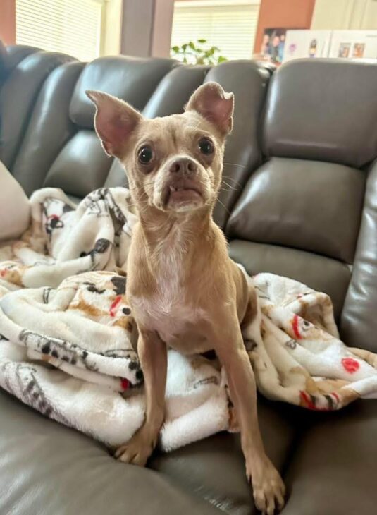 545804843_1118876473677935_8802416716746283323_n