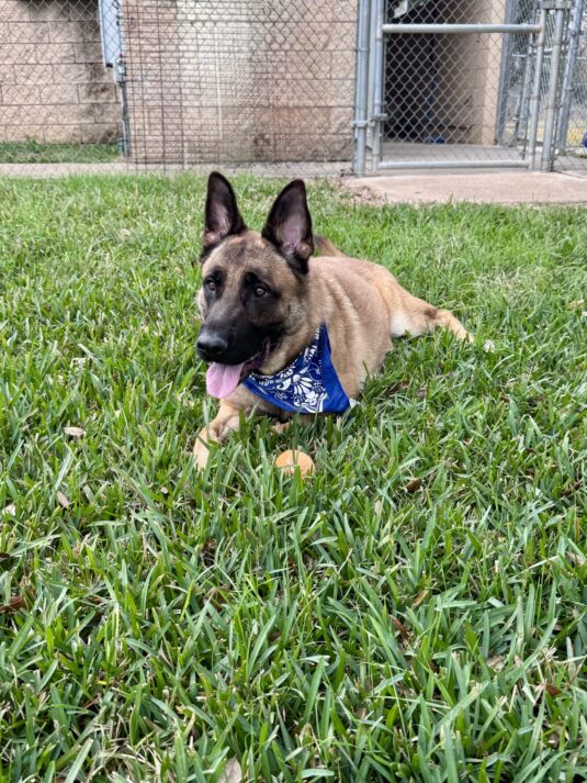 Photo Jan 22 2026, 3 12 24 PM