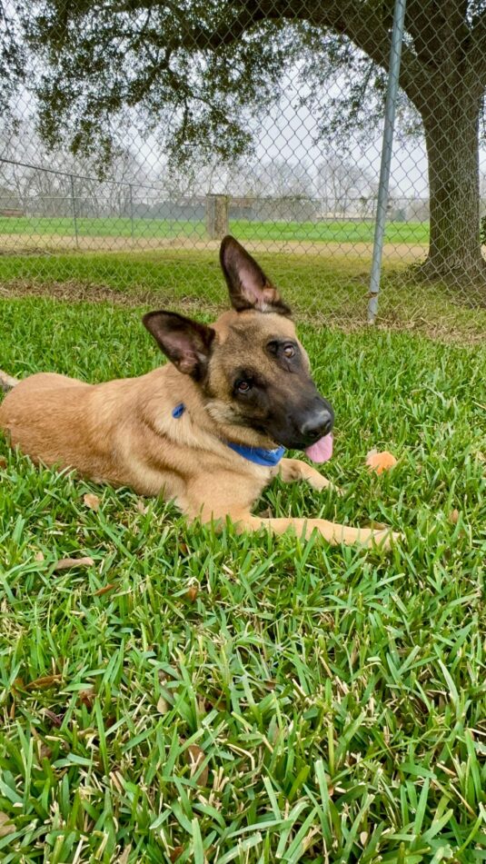 Photo Jan 22 2026, 3 13 21 PM